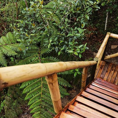 Salvaje Glamping Hotel Santa Elena  Luaran gambar